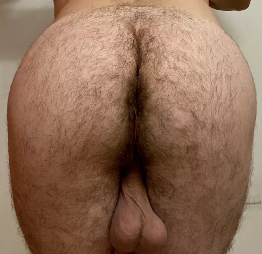 Dm me?🤤 by hungwhitecock69