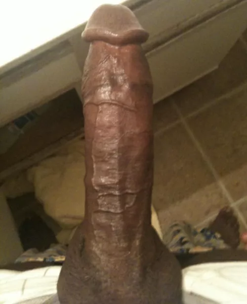 Dm me by Katalyst666