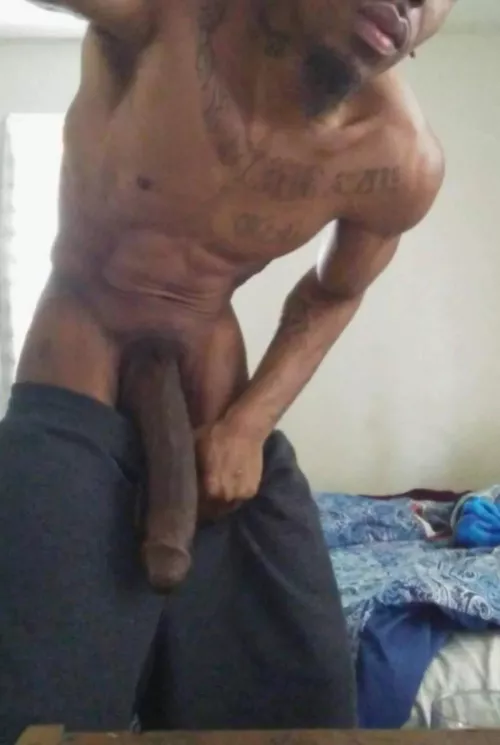 Dm me if you wanna be my SUBMISSIVE bitch by Josh11white