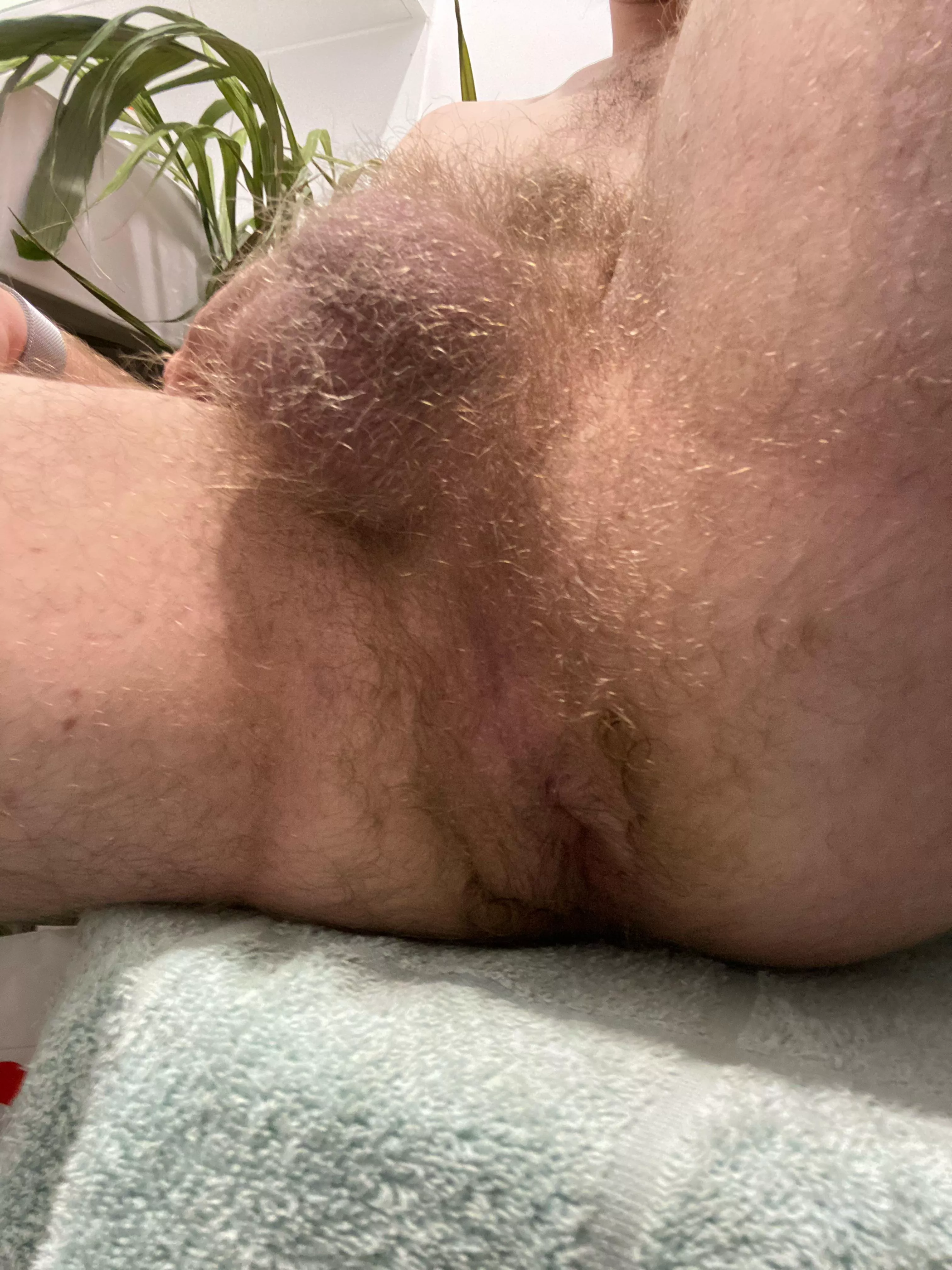 Dm me if you’d lick it 😈 posted by dm_me_ur_dickpics