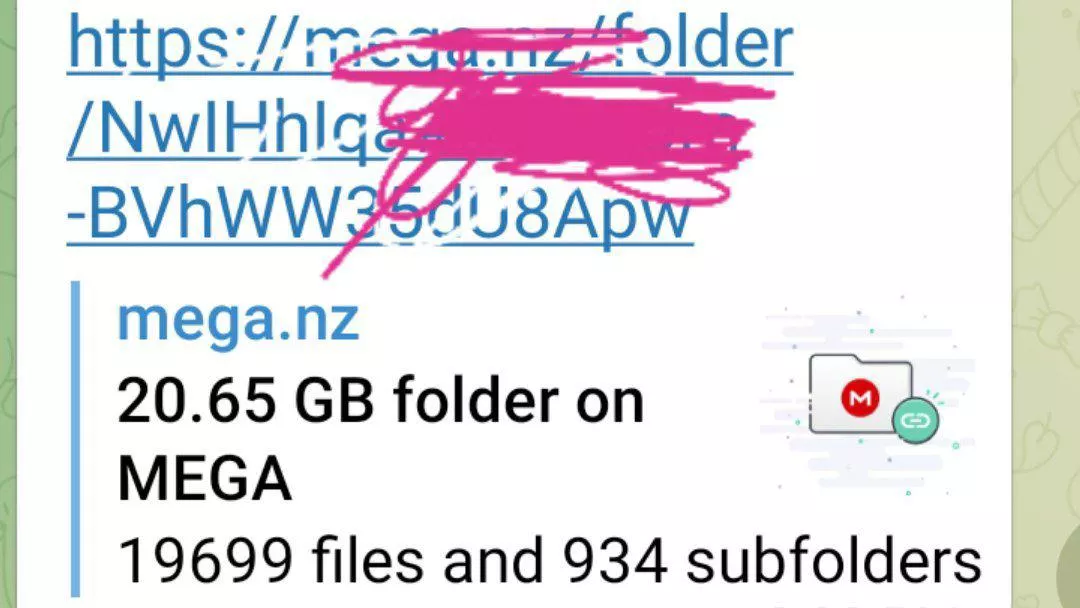 dm me sa TG @Aroskaldo for only 200 lang posted by Repulsive-Ad7547