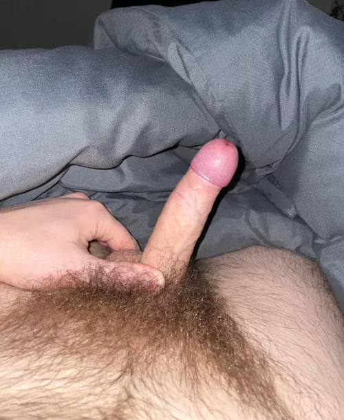 DMs open for bush lovers 😉 by xbryguyx