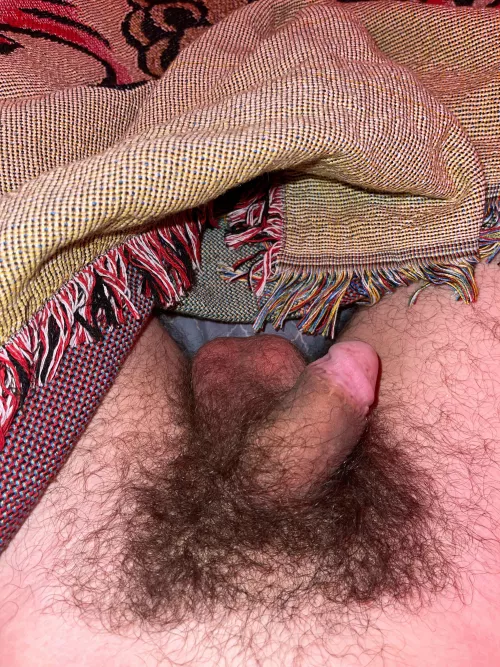 Dms open! Let me know your opinions ;3 by Trippl3Z