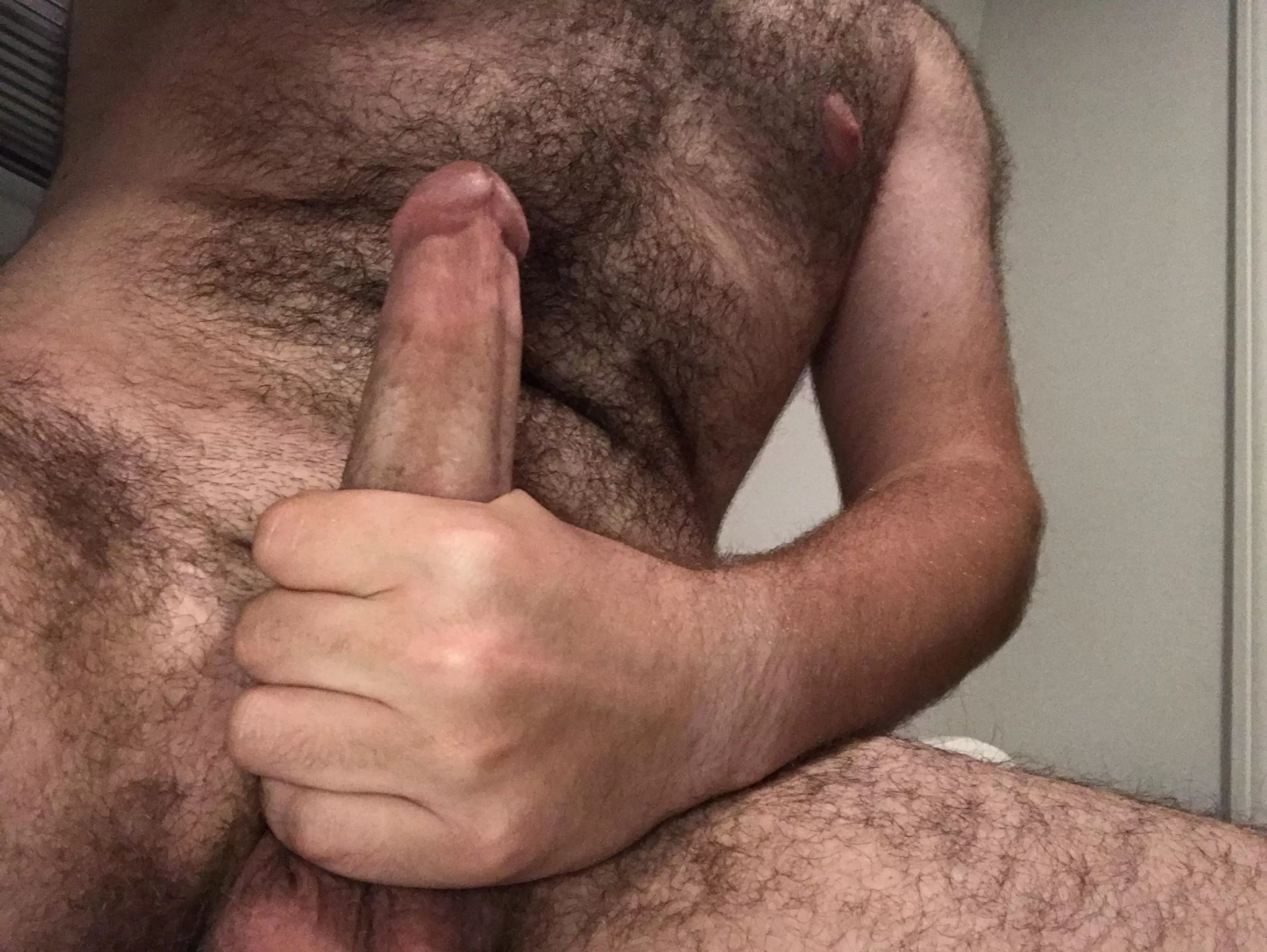 Do I count as a bear?? posted by ObamiumObama