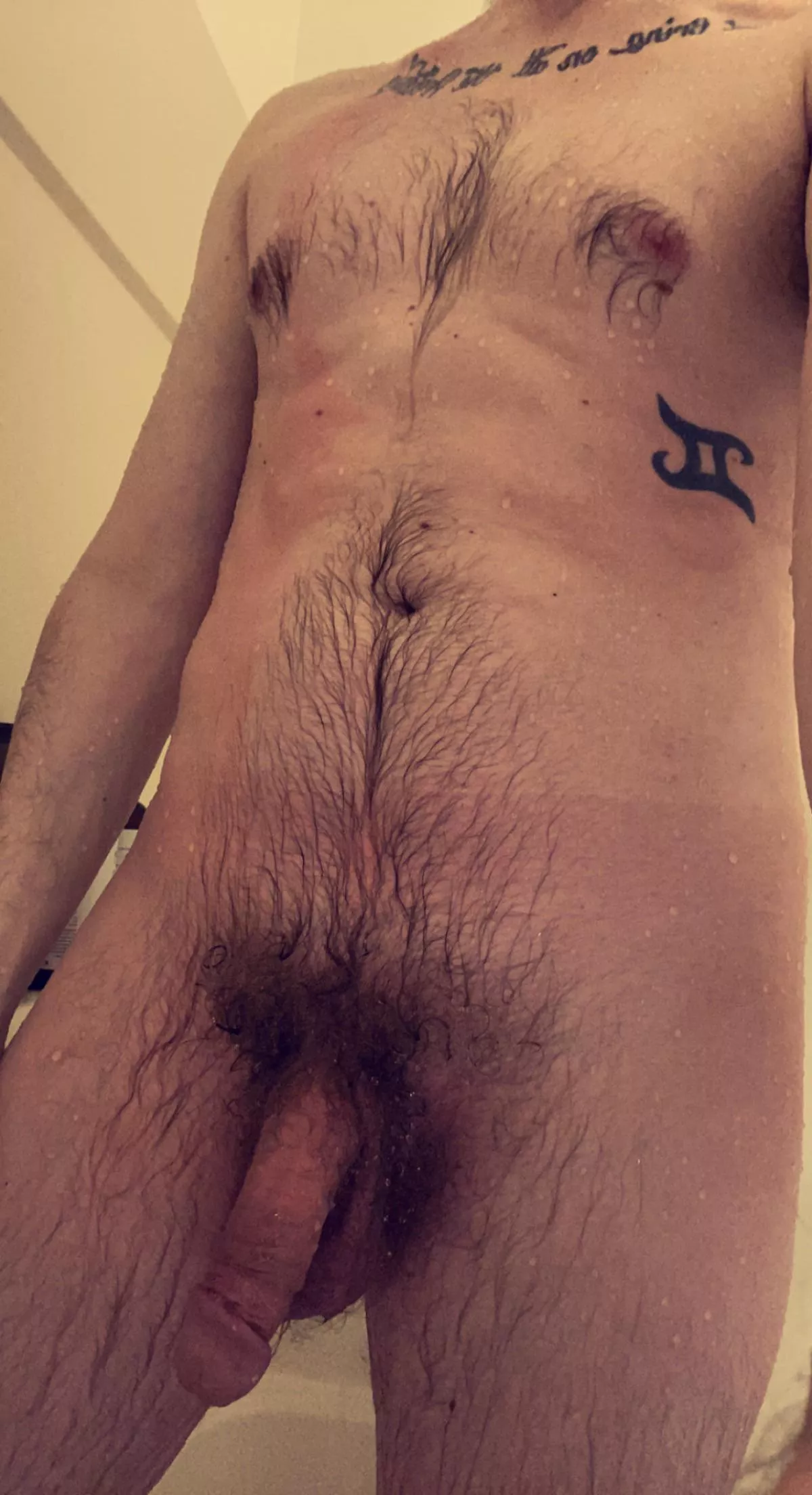 Do I count as an otter in some way?? 🦦 posted by tat246