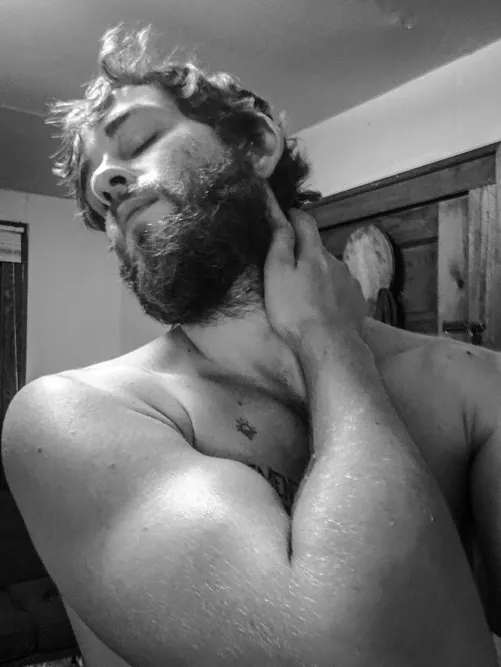 Do I fit in around here? by CygnetSociety