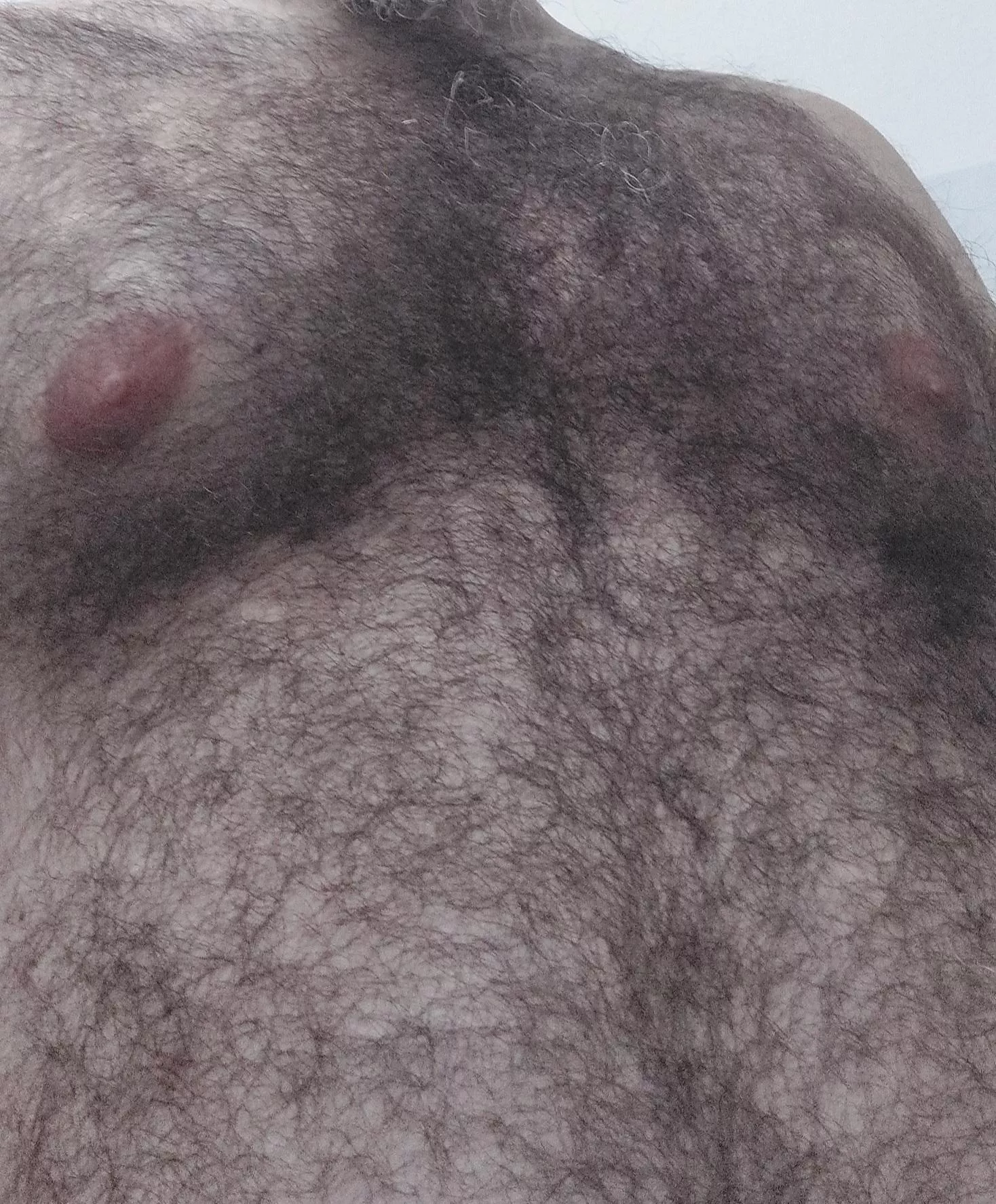 do I have more hair than you? posted by bottombear1984