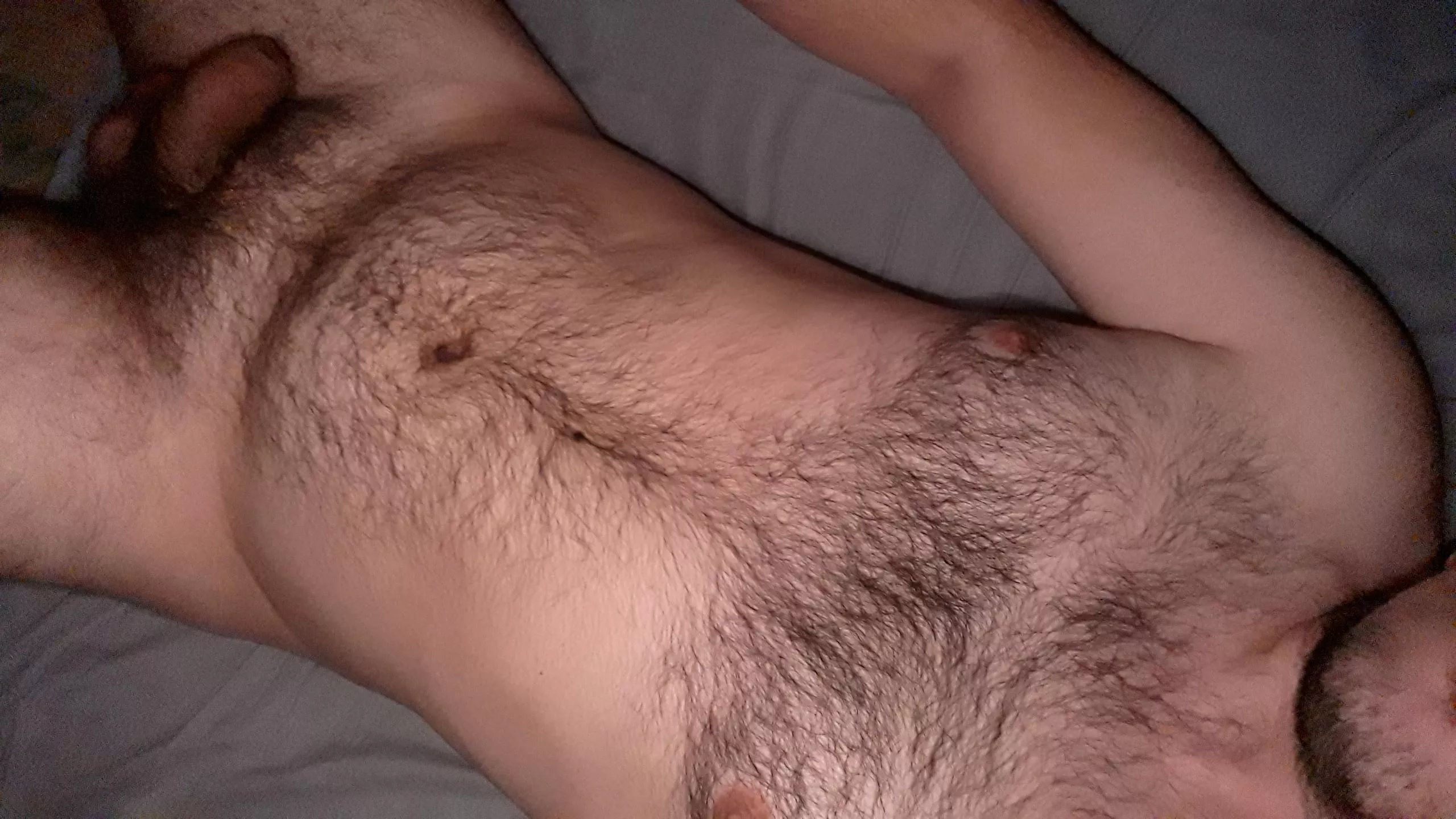 Do i qualify as an otter? posted by CockLoverGuy4666