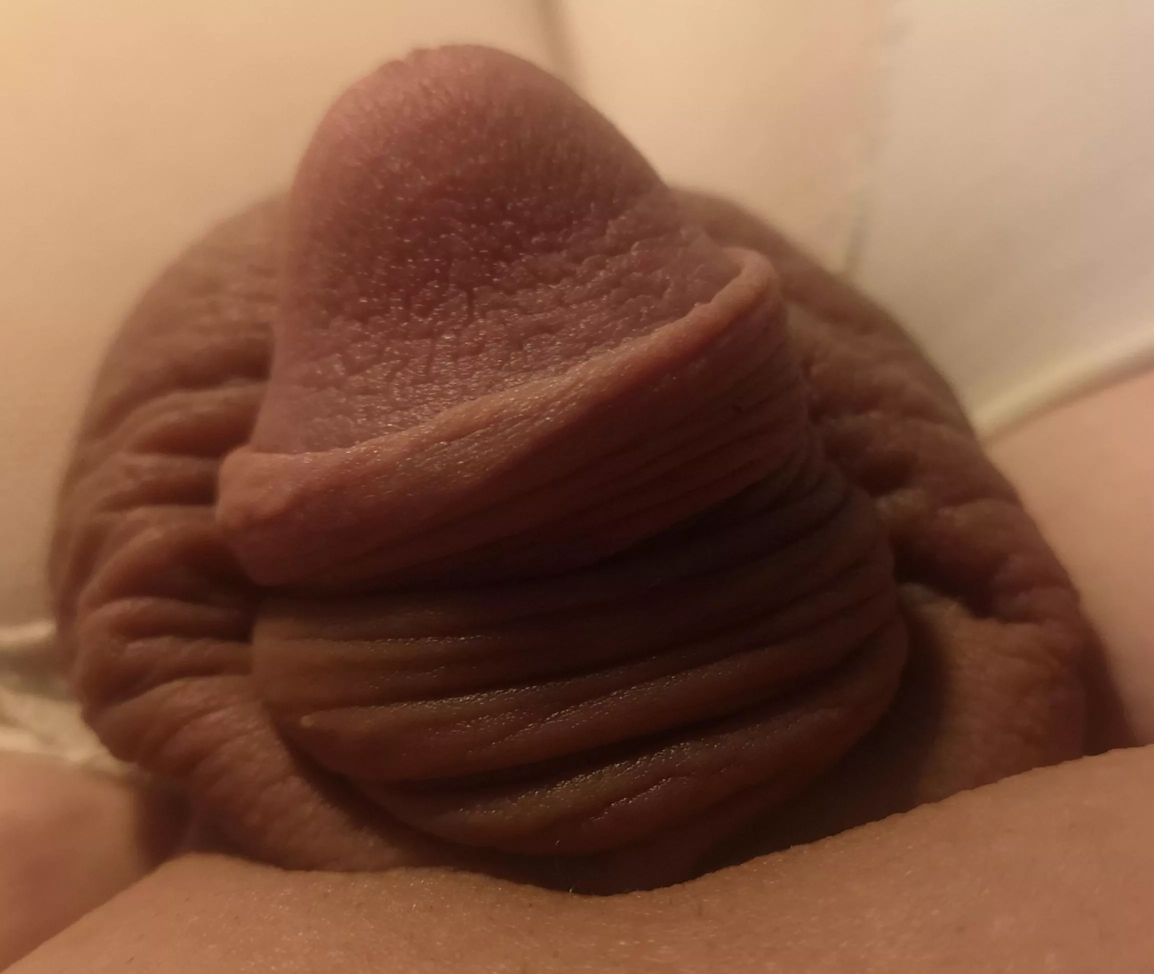 do i win? 😋 posted by RazzmatazzNo9567