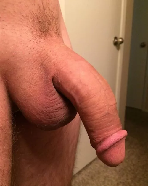 Do u like it?? by Busy_Satisfaction982