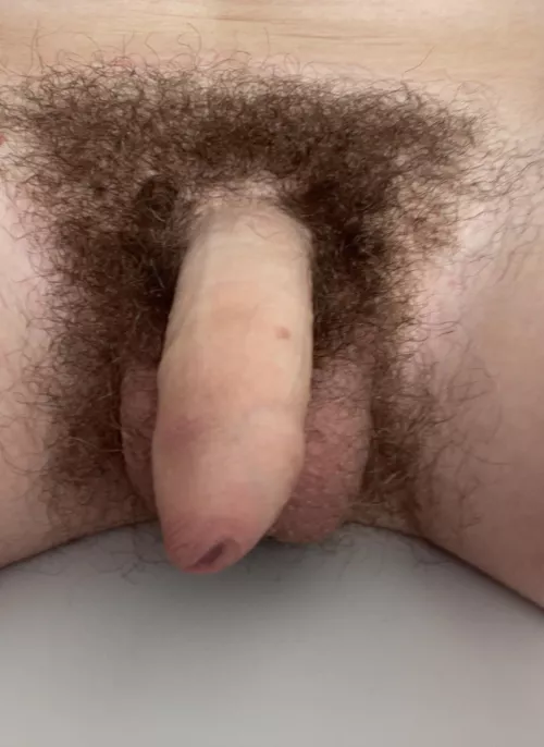 Do u like my hairy uncut cock (M18) dm me for more ;) by Otherwise_Corner_843
