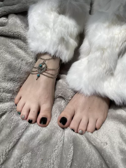 Do we like fuzzy leg warmers? by JennysPerfectPaws