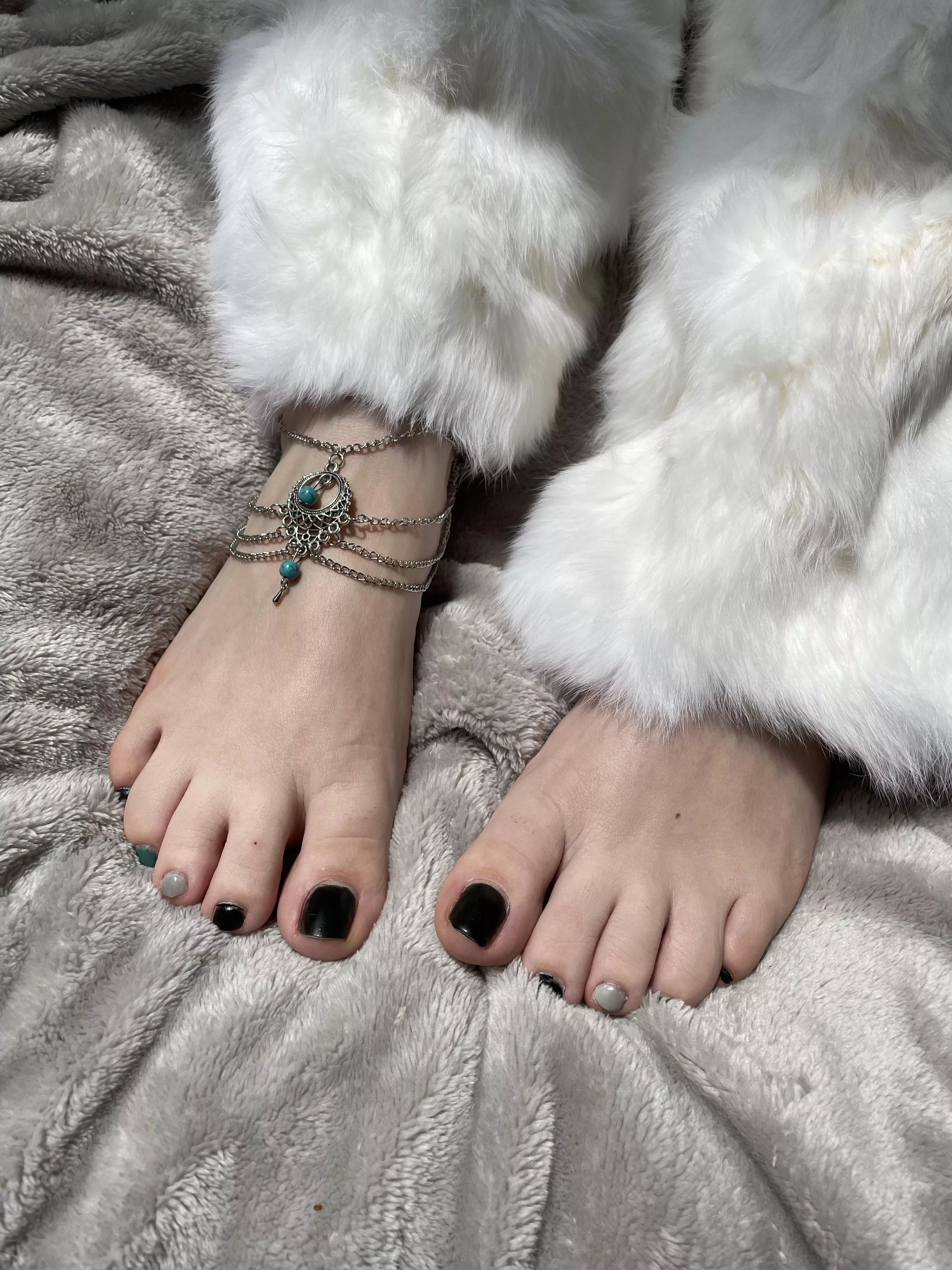 Do we like fuzzy leg warmers? posted by JennysPerfectPaws