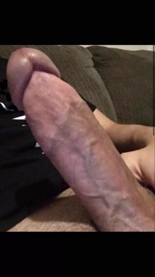 Do whatever you want😏 by Expensive_Loquat7600