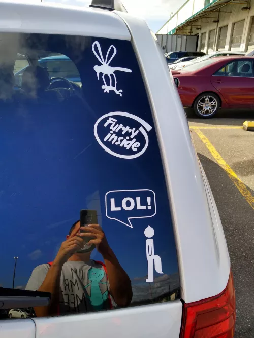 Do you furrize your car? by dying1234