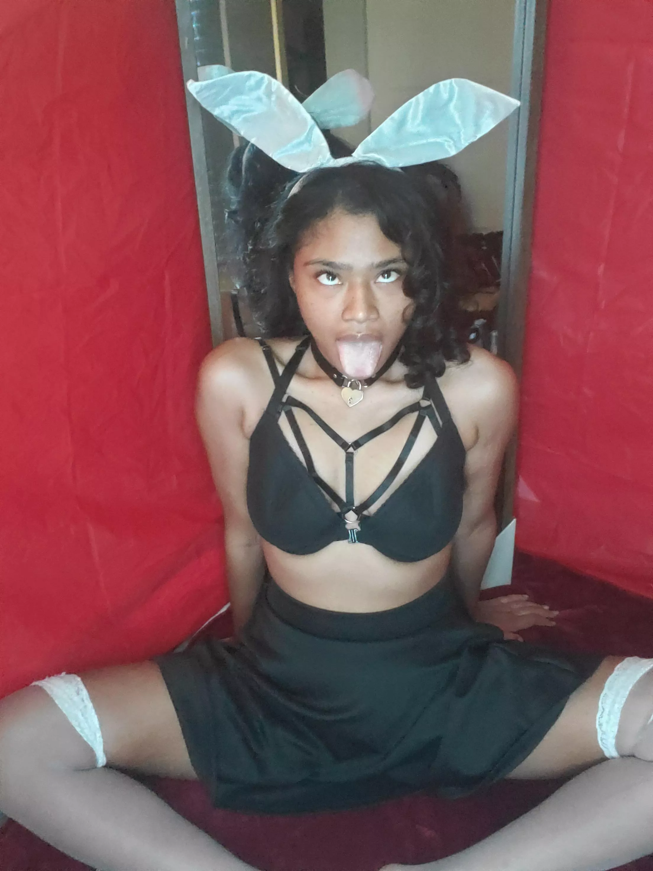 Do you know how to make a bunny make this face? posted by hazelnut_slut