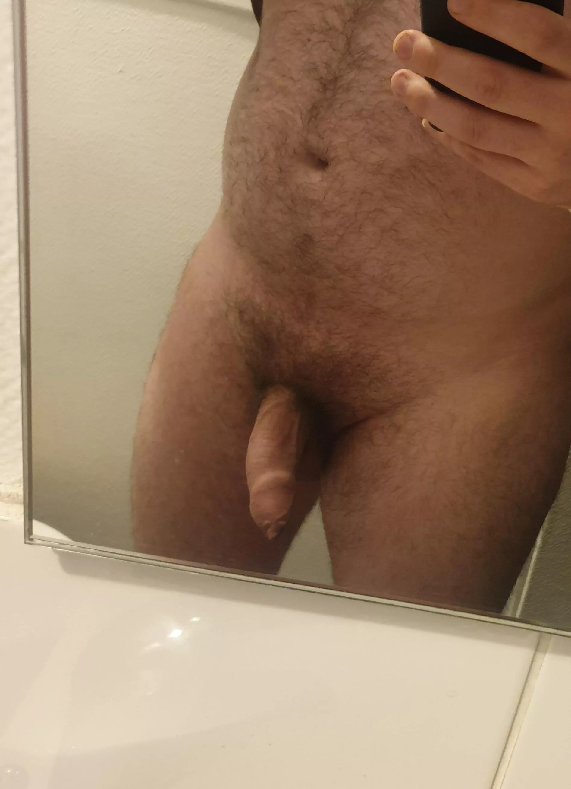 do you like bushes ? posted by siph2