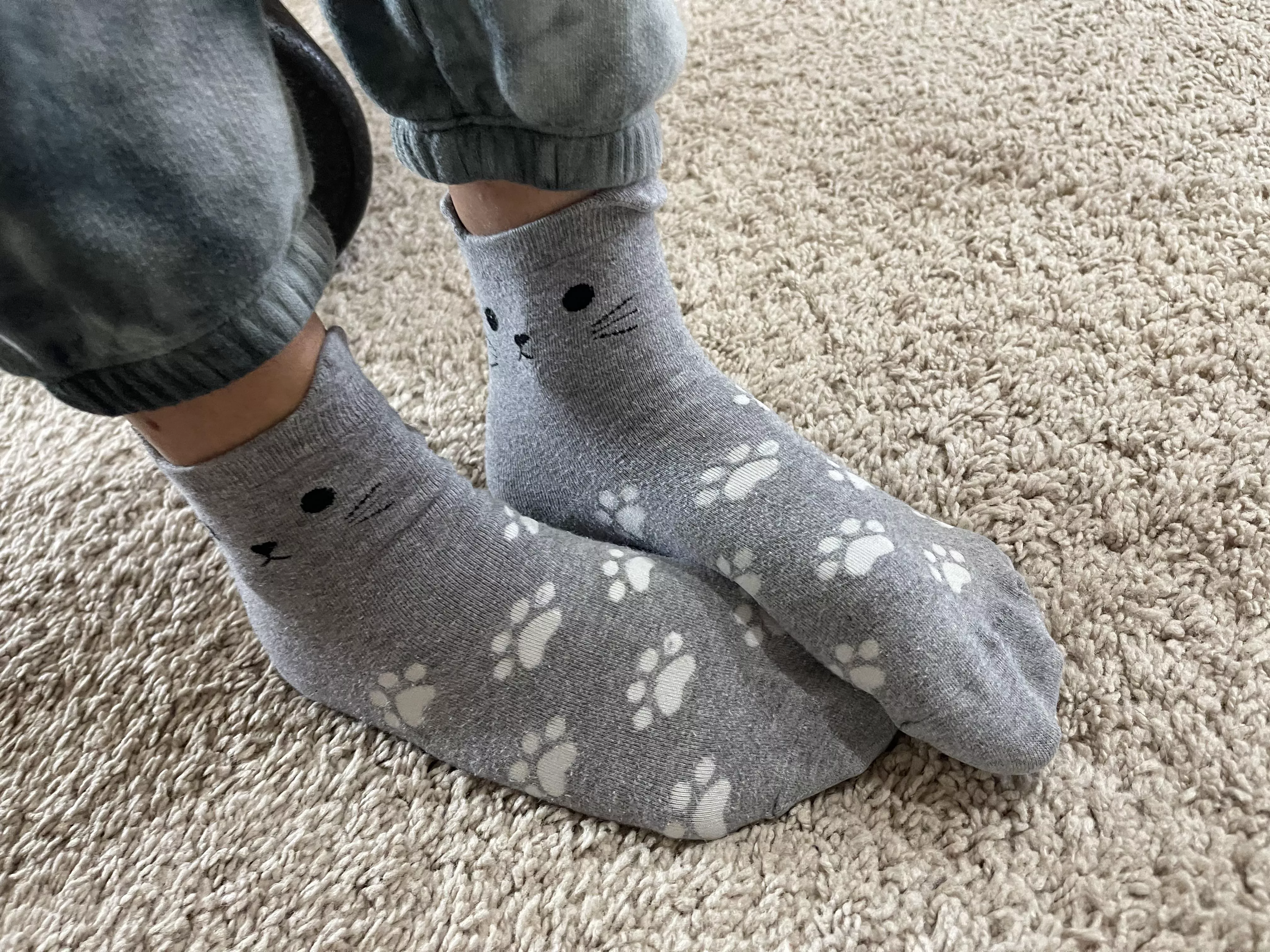 Do you like cats? posted by Cealliagh