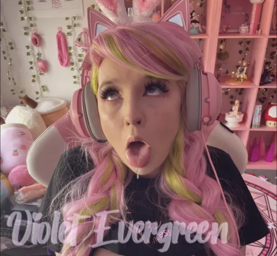 Do you like gamer kitties 👉🏻👈🏻 by Violet-Evergreen