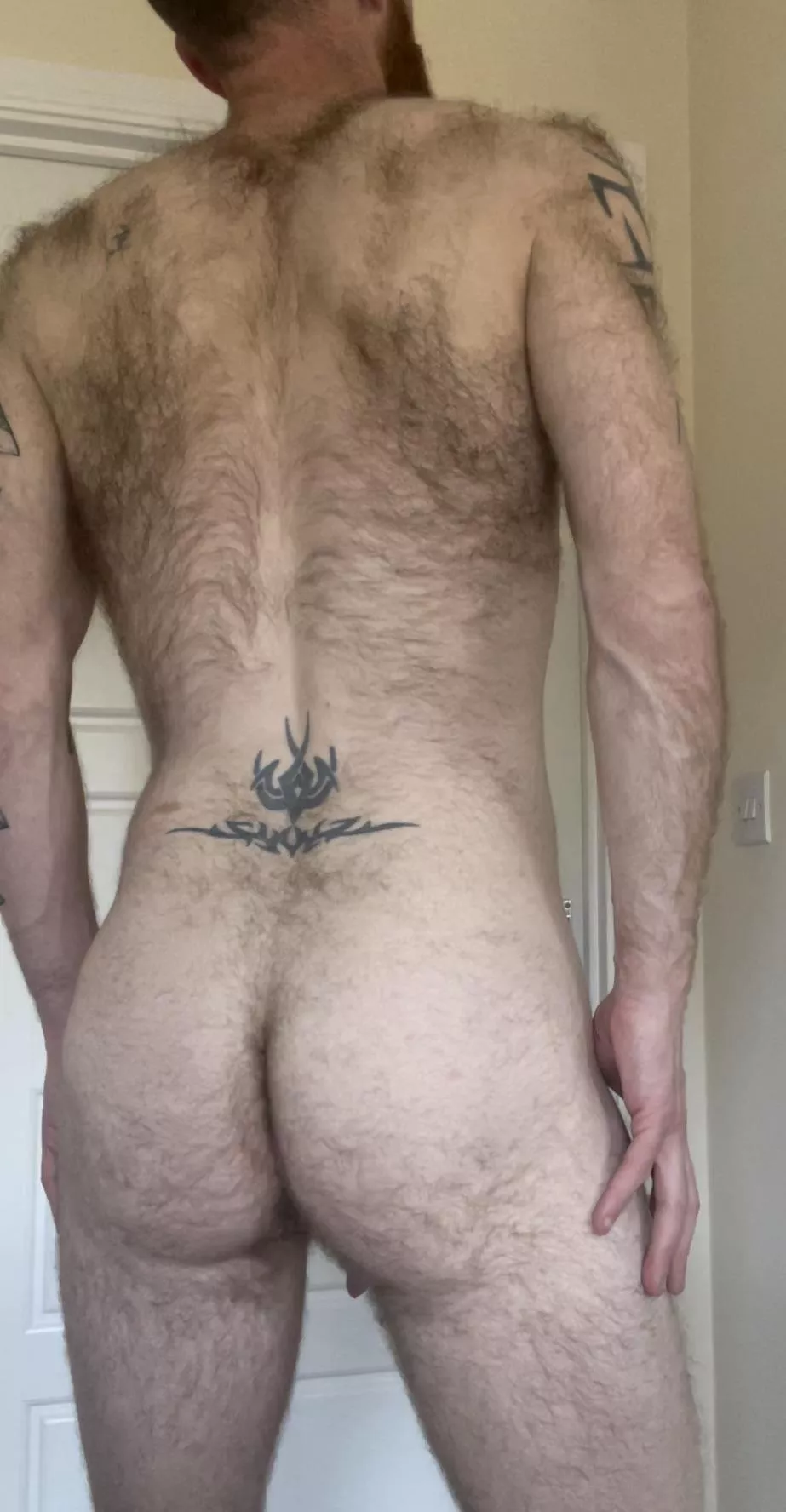 Do you like hairy? 😜 posted by gbrad1983