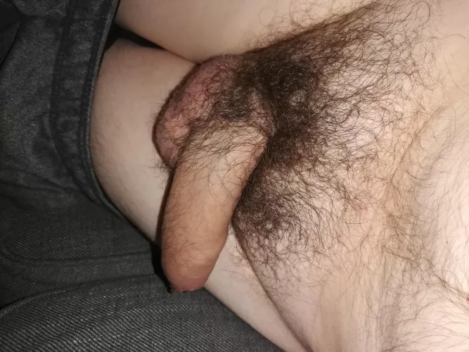 do you like hairy foreskin? by digedy39