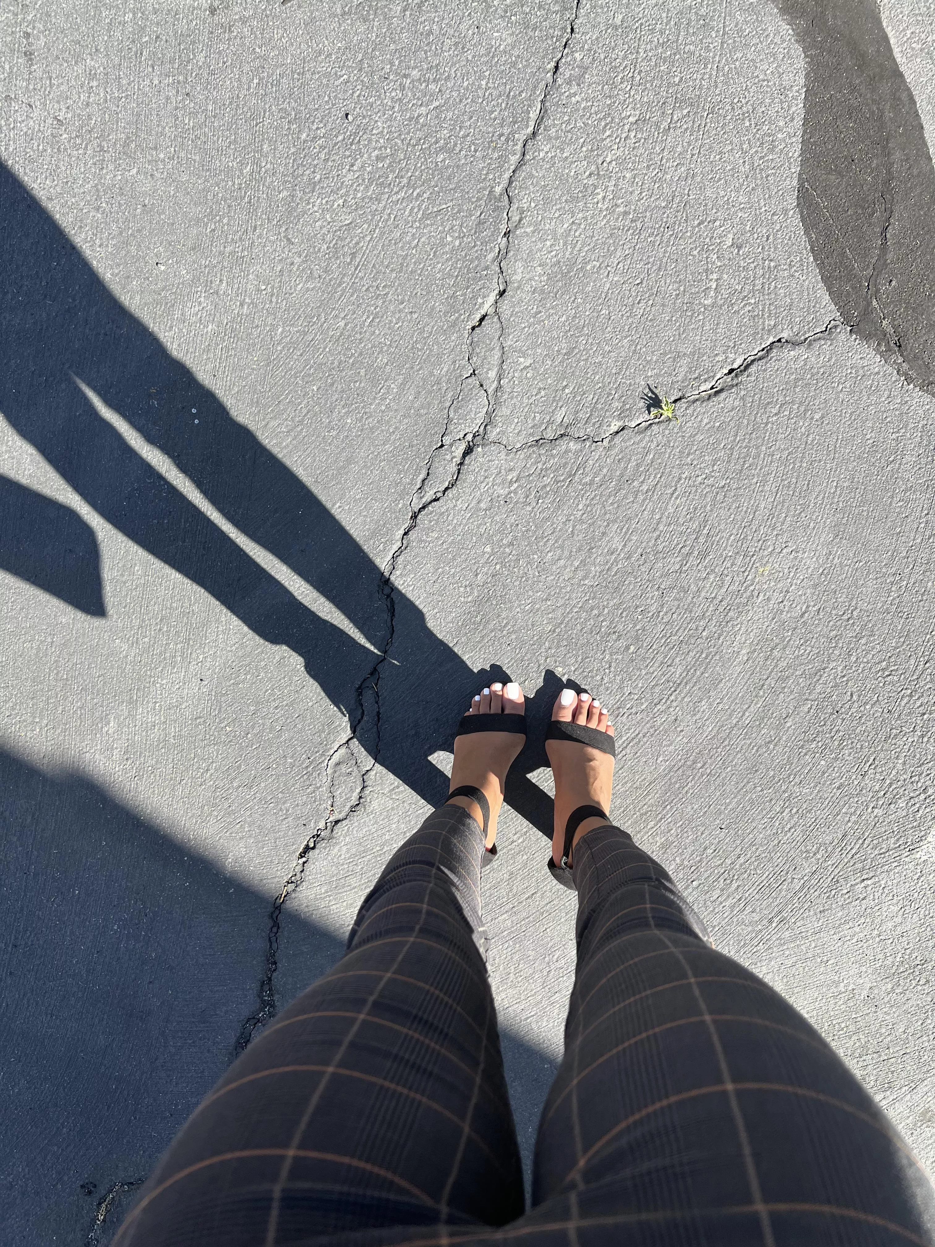 Do you like long legs? posted by Possible-Poem-49