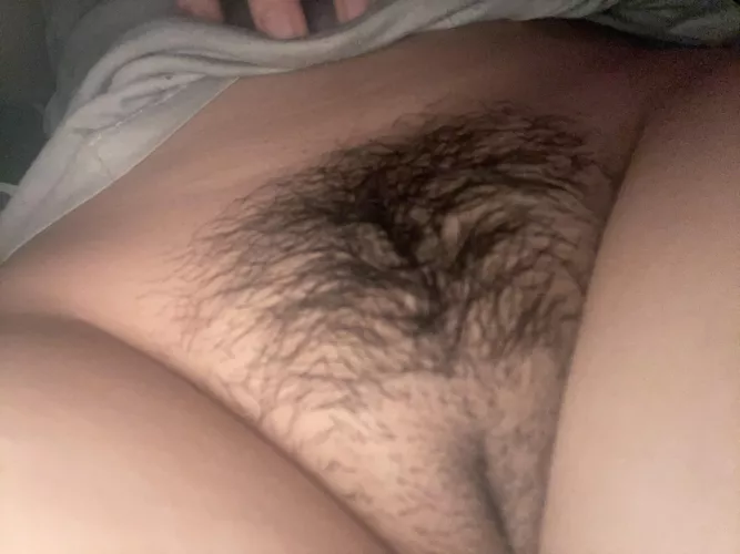 Do you like my 19yo Filipina bush?;) by knowfacehaze