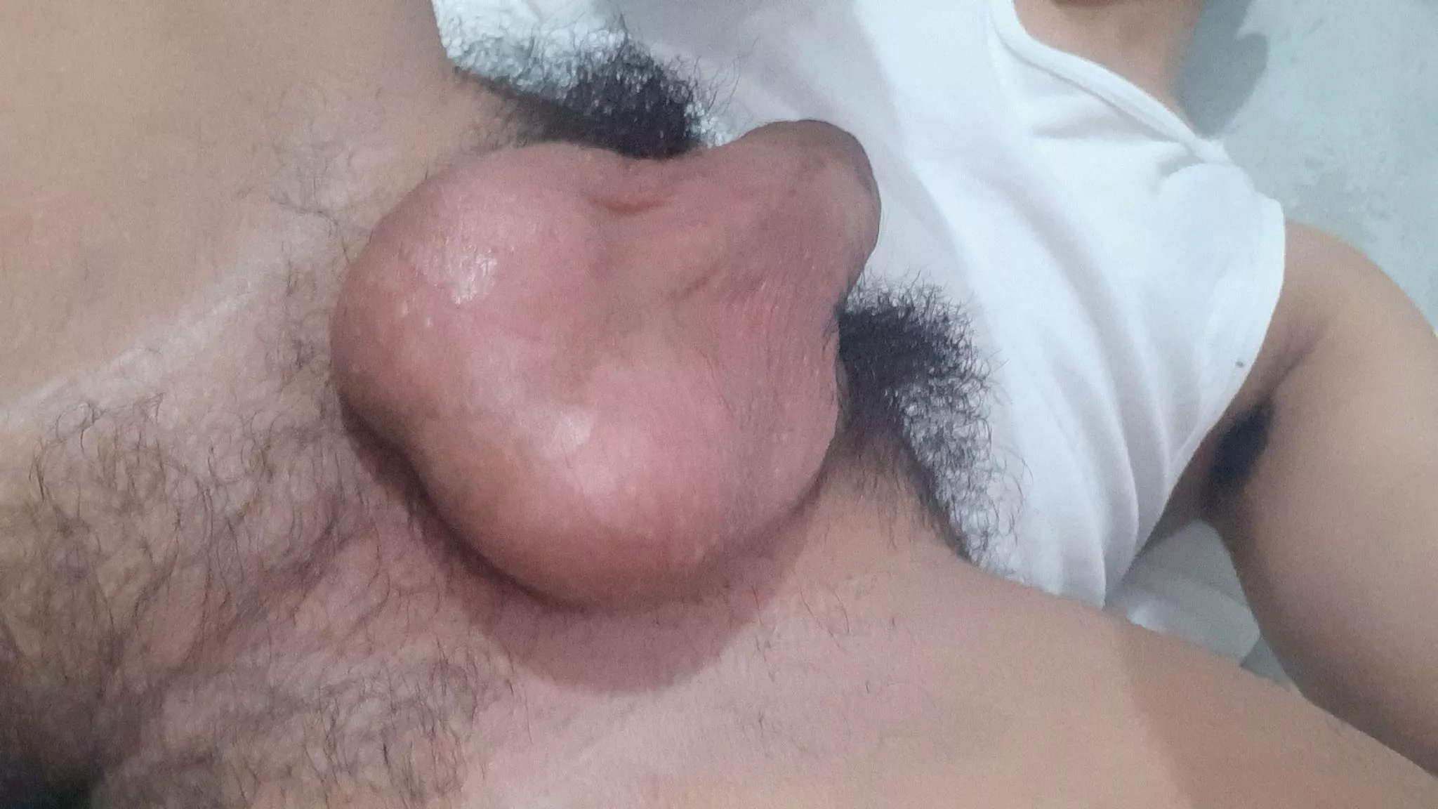 Do you like my balls ? posted by snakeyy8