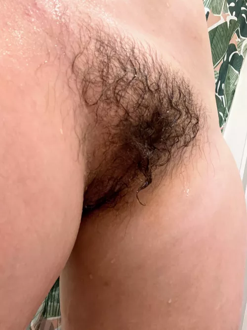 Do you like my bush curl..? by aabir192