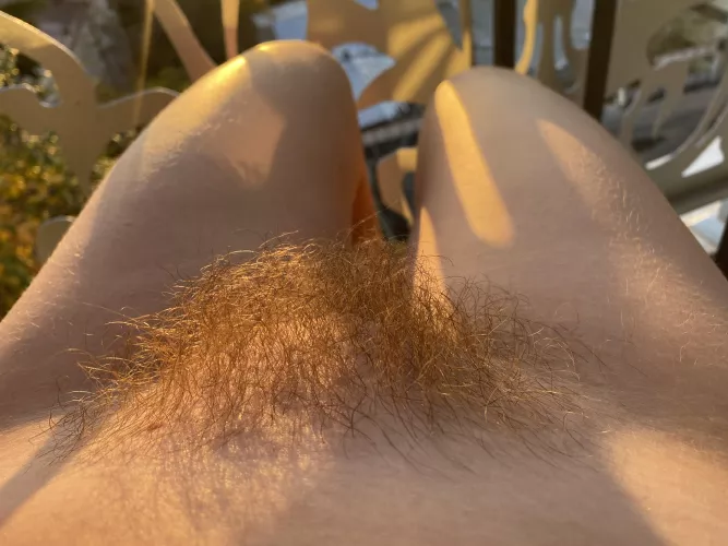 do you like my curls? by abbysunny