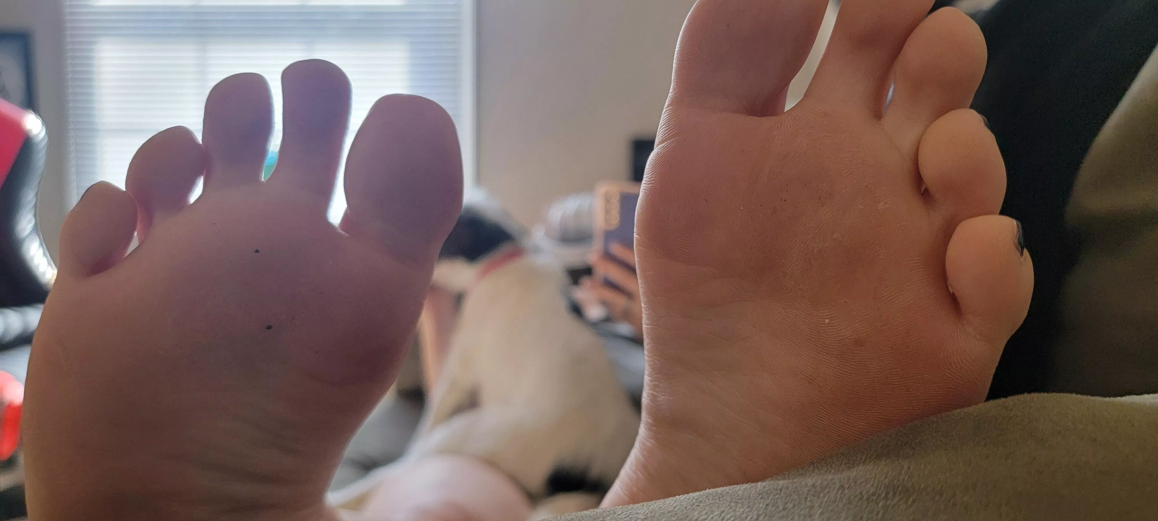 Do you like my dirty soles? posted by qyeidod274