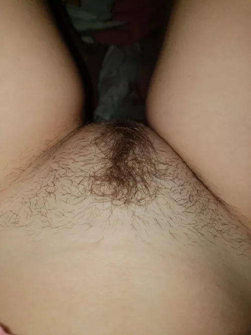 Do you like my hairy?🥰 by Molly_BadSlut