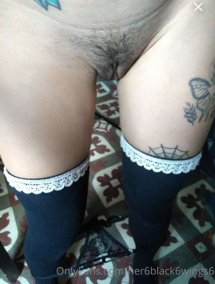 do you like my little hairy one? posted by winonita