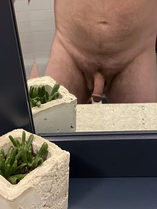 Do you like my plant? by m90rider