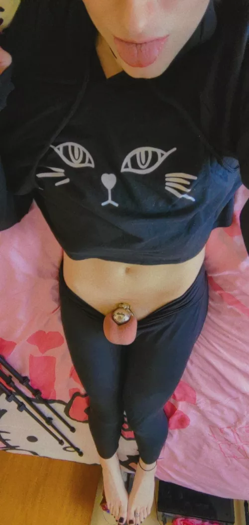 Do you like my teeny tiny little cage? 🙈 by prissysissychrissy