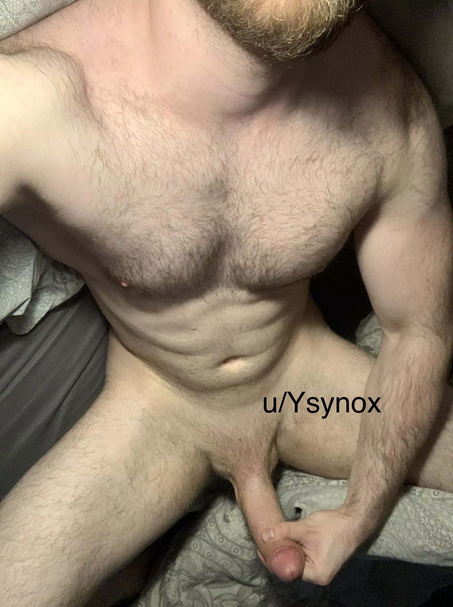 Do you like my third leg?🇩🇪🇳🇴 posted by Ysynox