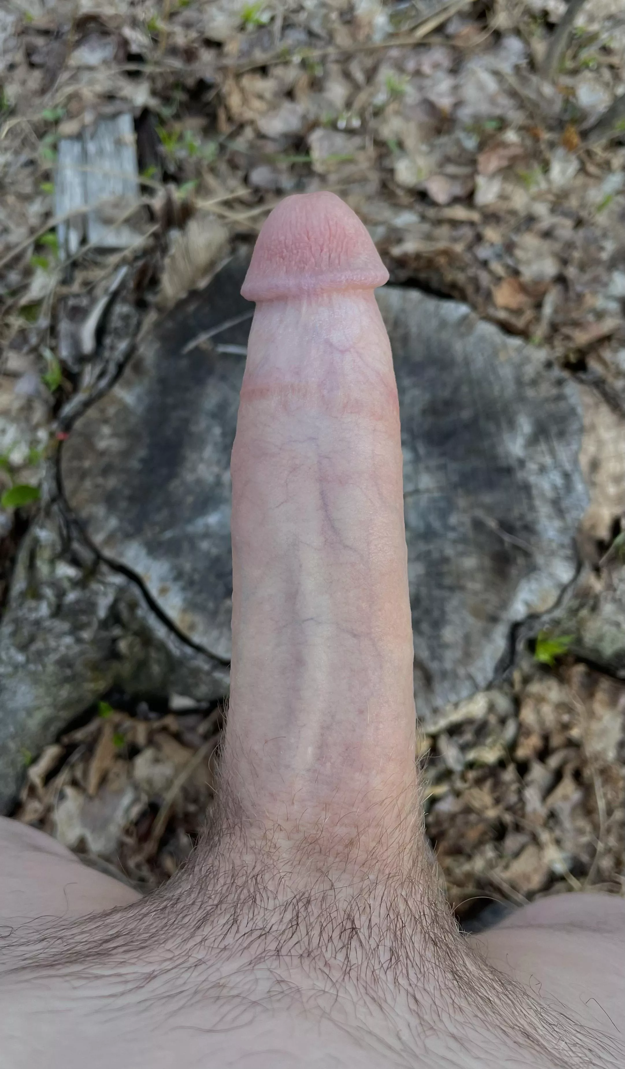 Do you like my wood? posted by shawnmayor34