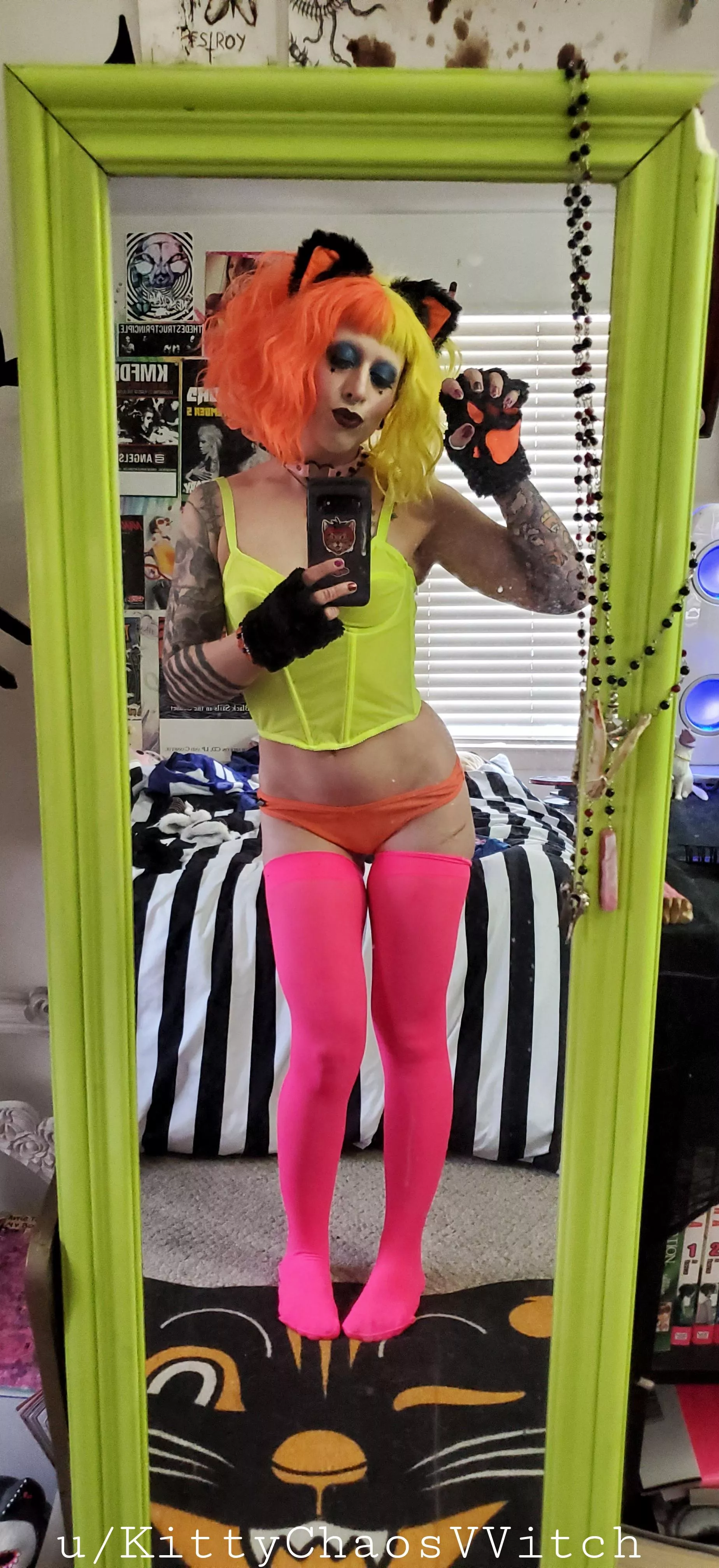 do you like neon kitties? posted by KittyChaosVVitch