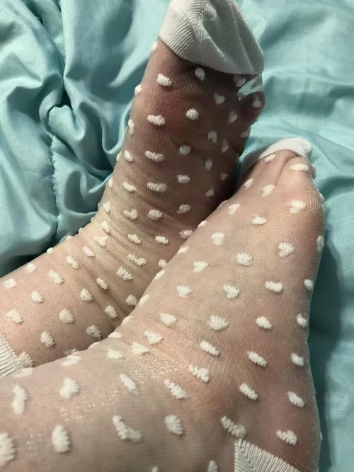 Do you like see-through socks? (F) by CupcakeTootsie