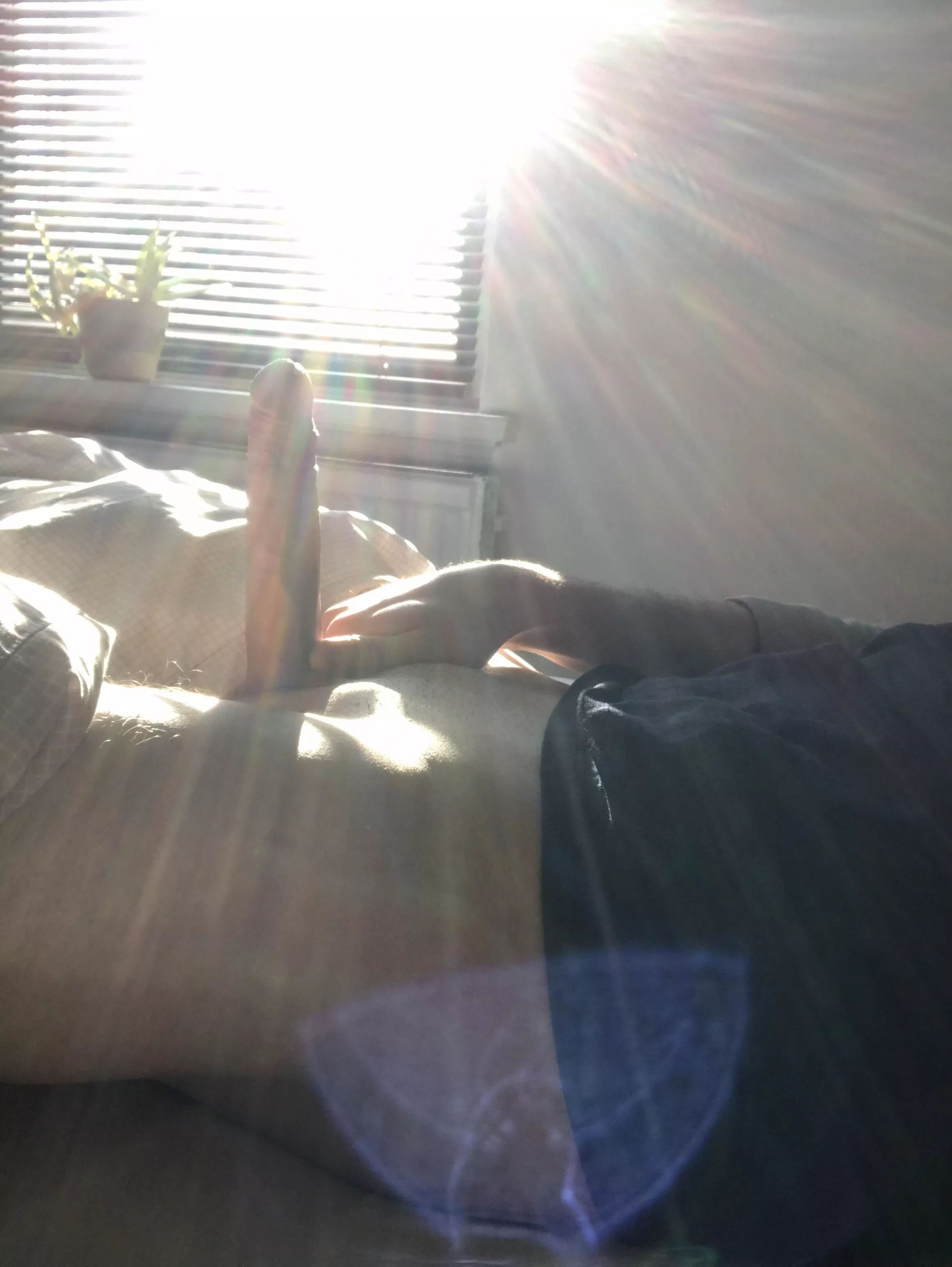 Do you like sunny sessions? posted by Leo_loewe08