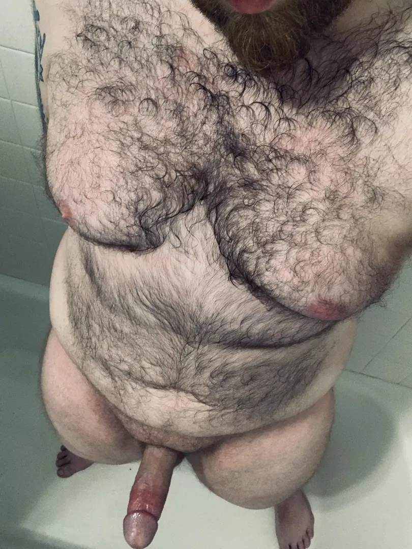 Do you like tall, chubby, bearded dudes with big cocks?;) by thicclumberjack