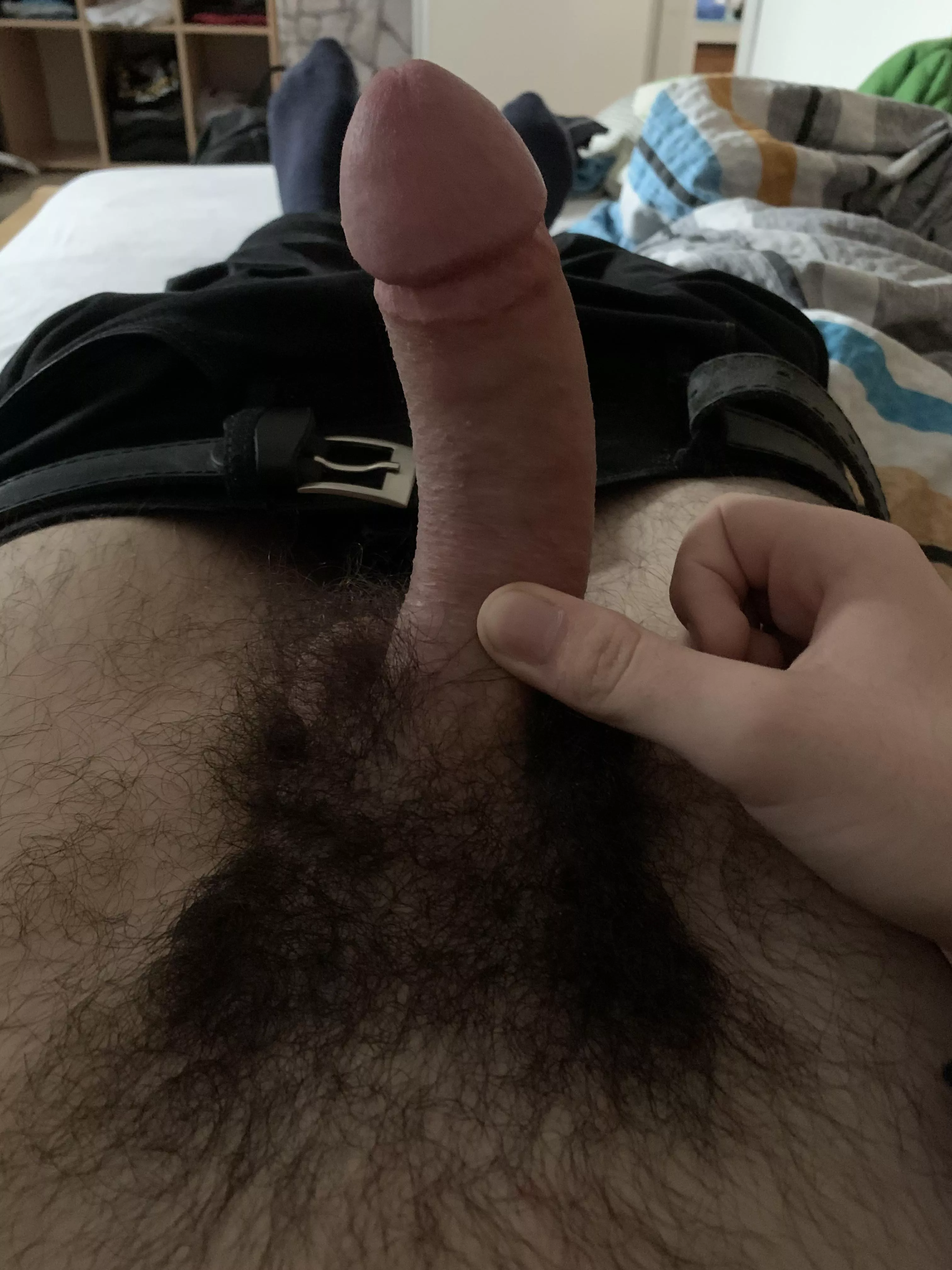 Do you like this high school cock? posted by Jazzlike_Advantage23