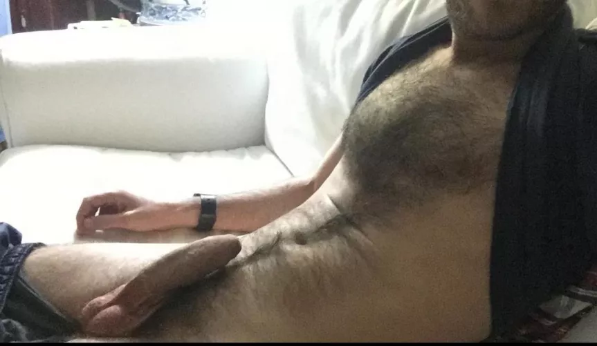 Do you like this Spanish otter?😏 by VMDraco