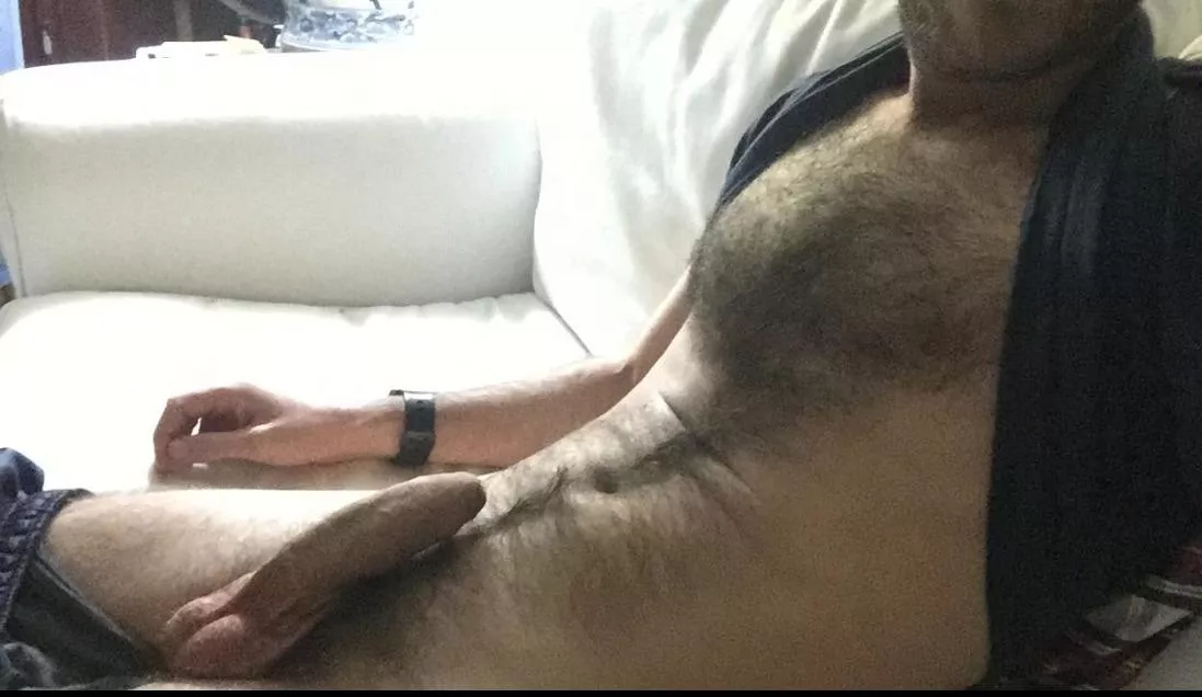 Do you like this Spanish otter?😏 posted by VMDraco