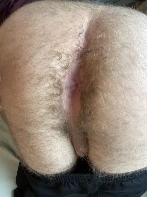 Do you like what you see? by Beeoak