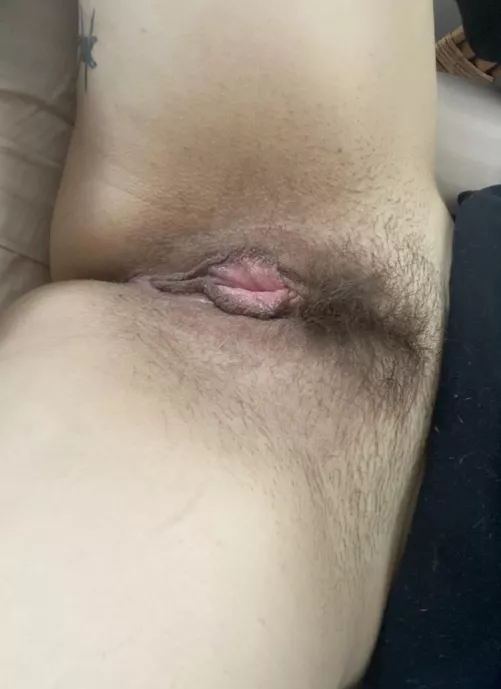 Do you like wings with a bit of fuzz? by Quinnnnx