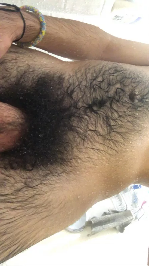 do you love my bush? by Severe-Bed-2071