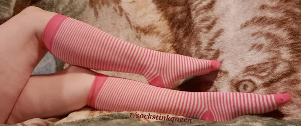 Do you love my kneehighs as much as I do? ❤ by SockStinkQueen