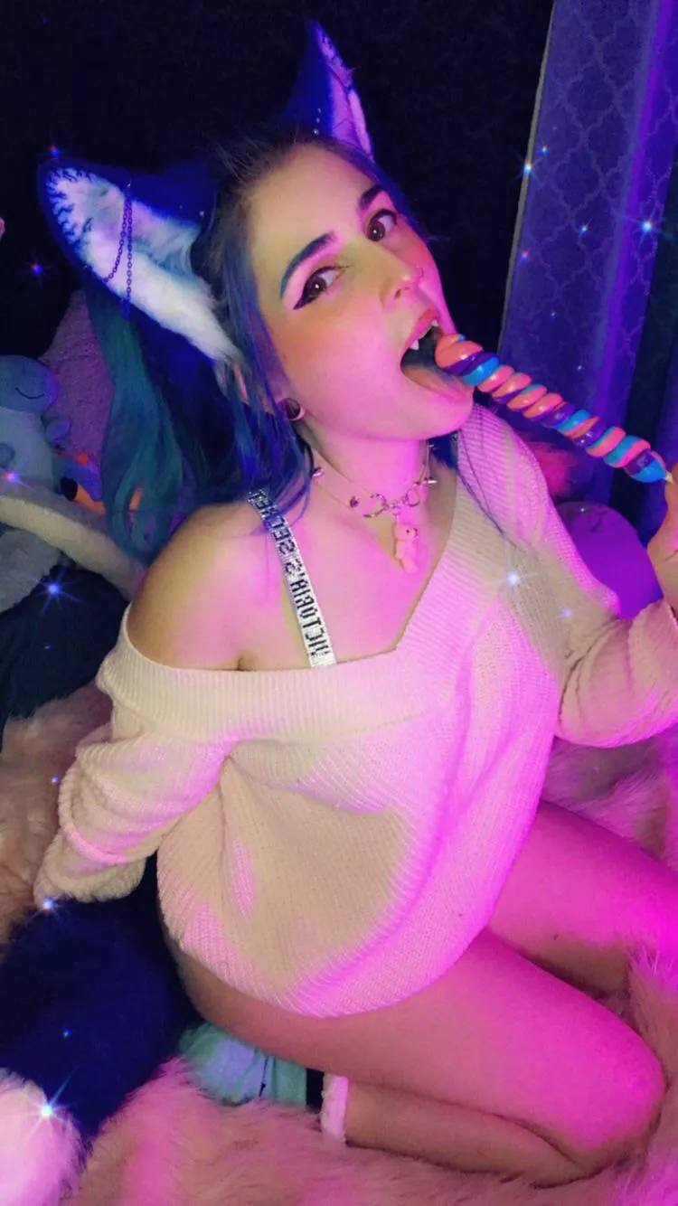 Do you need a new fox to play with? posted by marlomoore069