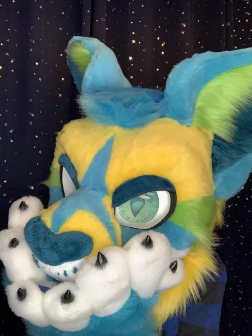 Do you think he’s cute ? ⚡️ by Expl0rerWolfie